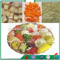 Sanshon SCS-550 Automatic Food Potato Dicer